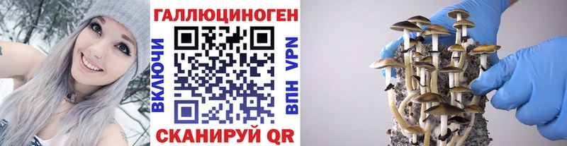Галлюциногенные грибы GOLDEN TEACHER  купить закладку  Рославль 